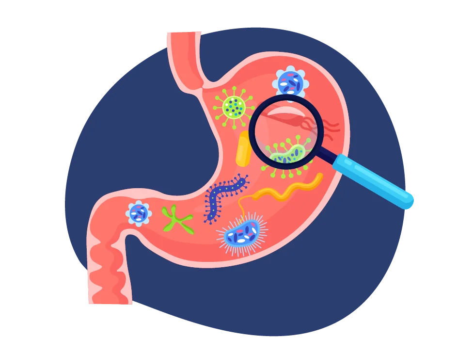 Couverture de Inflammation et équilibre digestif
